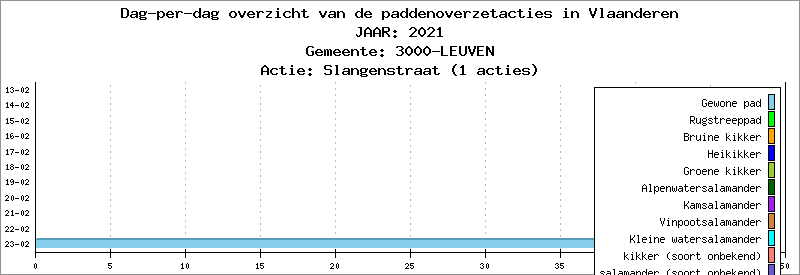 Dag-per-dag overzicht 2021 - Slangenstraat